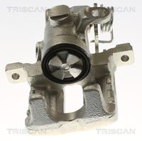 TRISCAN 8175 29269 - Pinza de freno