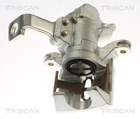 TRISCAN 8175 40214 - Pinza de freno