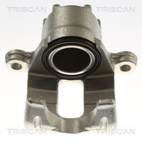 TRISCAN 8175 42215 - Pinza de freno