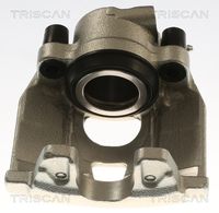 TRISCAN 8175 29111 - Pinza de freno