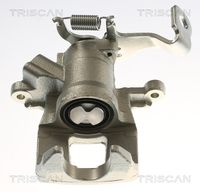 TRISCAN 8175 50217 - Pinza de freno