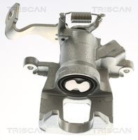 TRISCAN 8175 50218 - Pinza de freno