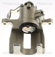 TRISCAN 8175 29245 - Pinza de freno