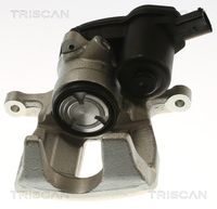 TRISCAN 8175 29260 - Pinza de freno