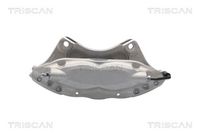 TRISCAN 8175 81202 - Pinza de freno