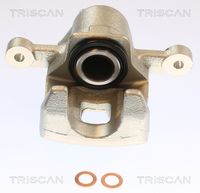 TRISCAN 8175 43242 - Pinza de freno