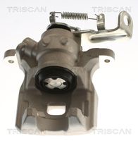 TRISCAN 8175 50215 - Pinza de freno