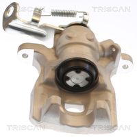 TRISCAN 8175 50216 - Pinza de freno