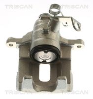 TRISCAN 8175 10210 - Pinza de freno