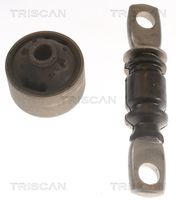 TRISCAN 8500 13880 - Suspensión, Brazo oscilante