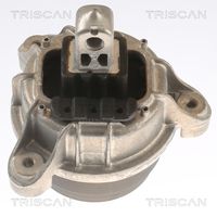 TRISCAN 8505 11118 - Soporte, motor