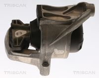 TRISCAN 8505 29168 - Soporte, motor