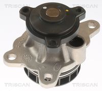 TRISCAN 8600 10092 - Bomba de agua, refrigeración del motor