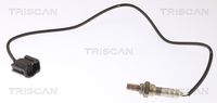 TRISCAN 8845 50024 - Sonda Lambda