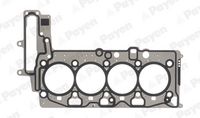 PAYEN AH8130 - Junta, culata