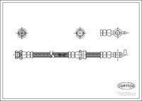 CORTECO 19025992 - Tubo flexible de frenos