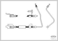 CORTECO 19032148 - Tubo flexible de frenos