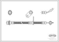 CORTECO 19032715 - Tubo flexible de frenos