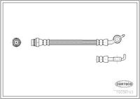 CORTECO 19036193 - Tubo flexible de frenos