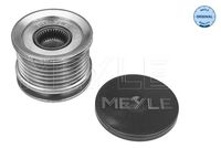 MEYLE 100 053 1006 - Rueda libre alternador