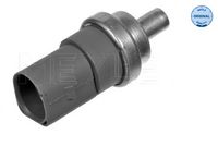 MEYLE 100 919 0017 - Sensor, temperatura del refrigerante