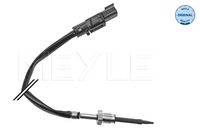 MEYLE 534 800 0015 - Sensor, temp. gas escape