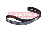 KAMOKA 7000041 - Correa dentada