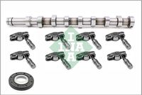 Schaeffler INA 428 0056 30 - Kit de árbol delevas