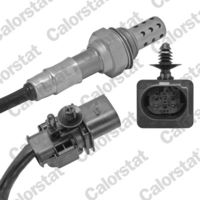 CALORSTAT by Vernet LS150053 - Sonda Lambda