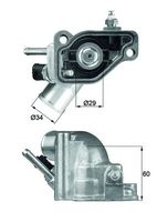 MAHLE TI 5 92 - Termostato, refrigerante