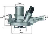 MAHLE TI 151 80 - Termostato, refrigerante