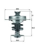 MAHLE TX 67 83D - Termostato, refrigerante