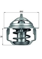 MAHLE TX 64 82 - Termostato, refrigerante