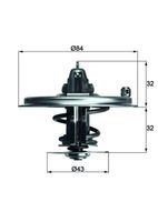 MAHLE TX 36 80D - Termostato, refrigerante