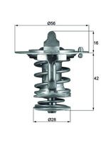 MAHLE TX 83 76D - Termostato, refrigerante