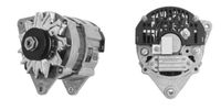 MAHLE MG 241 - Alternador