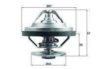 MAHLE TX 158 87 - Termostato, refrigerante