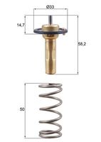 MAHLE TX 265 89D - Termostato, refrigerante