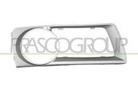 PRASCO BM8401243 - Listón embellecedor/protector, panal de radiador