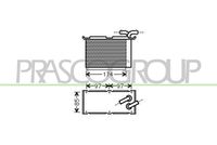 PRASCO AD320N003 - Radiador de aire de admisión