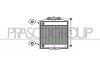 PRASCO BM101R005 - Radiador, refrigeración del motor