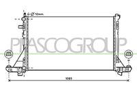 PRASCO DS962R004 - Radiador, refrigeración del motor