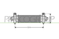 PRASCO FD107N001 - Radiador de aire de admisión