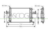 PRASCO OP030R001 - Radiador, refrigeración del motor