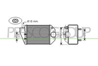 PRASCO AD017N002 - Radiador de aire de admisión