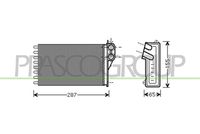 PRASCO CI304H001 - Radiador de calefacción