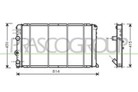 PRASCO DS958R006 - Radiador, refrigeración del motor