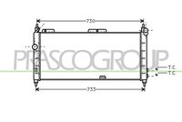 PRASCO OP028R005 - Radiador, refrigeración del motor