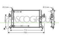 PRASCO OP030R006 - Radiador, refrigeración del motor