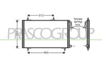 PRASCO PG009C002 - Condensador, aire acondicionado